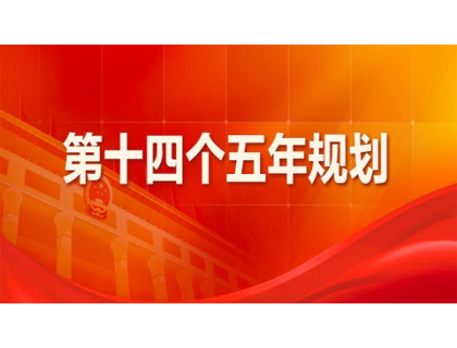 乐玩体育为“十四五”规划建言献策 